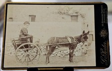 Victorian Cabinet Card Photo