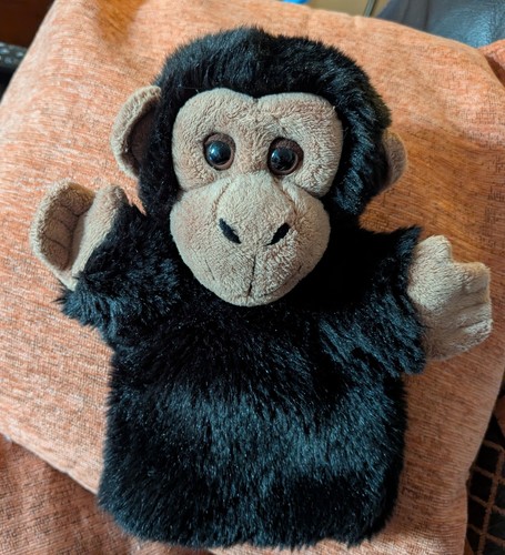 Chimpanzee gloves puppet - chimpanzee, in