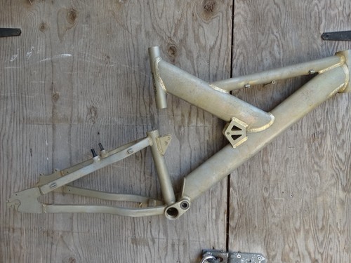 Raleigh team issue downhill - raleigh, p