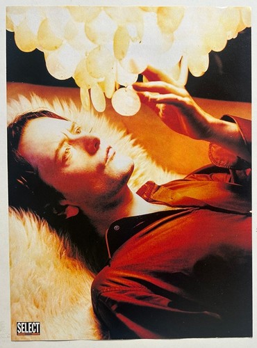 Jarvis cocker pulp - cocker, full