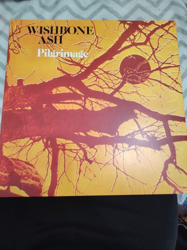 Wishbone ash pilgrimage - ash, vinyl