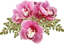 Pink Flower Vinyl Sticker Wall