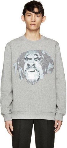 Givenchy rottweiler gray - givenchy,