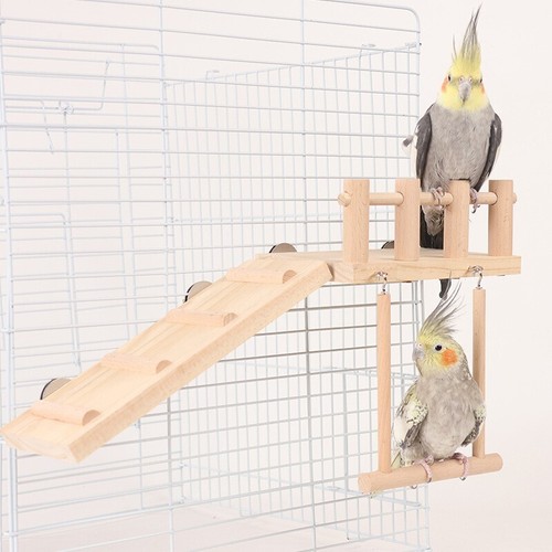 Natural wood bird perches - wood,