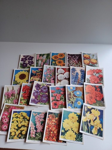 Complete set wills garden - set, of