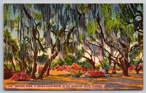 Spanish moss vintage - fl,