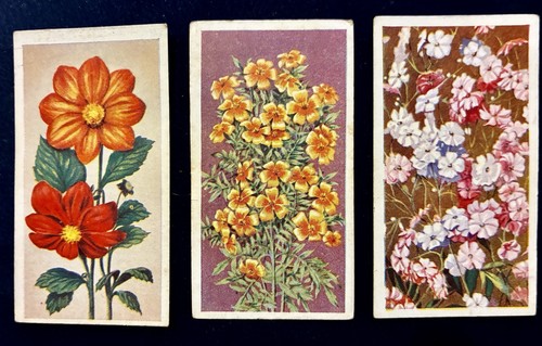 Godfrey phillips annuals 1939 - annuals,
