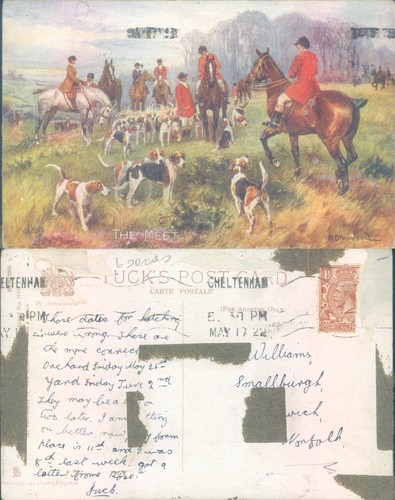 Fox hunting scene with hounds
