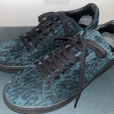 Brand New in box Mulberry Tree