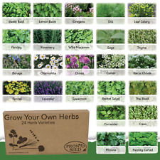 Herb Seeds Mix UK | 24 Varieties of Mixed Herb Seeds | 2900 seeds | Herb Plants