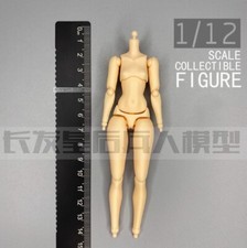 HASUKI PA006 1/12 Scale Body