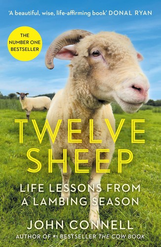 Twelve sheep life lessons - life,
