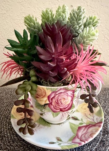 Succulent planter decorative - succulent,