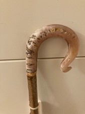 Rams Horn Shepherds Crook