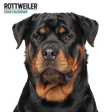 Rottweiler 2026 Modern