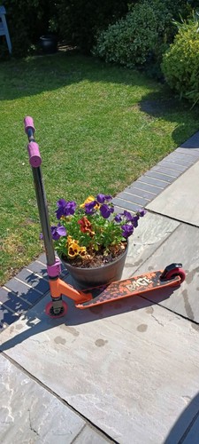 Rage stunt scooter - –, used