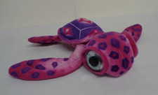 Ravensden Turtle Big Eyes
