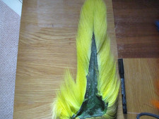 buck tail whole pale yellow