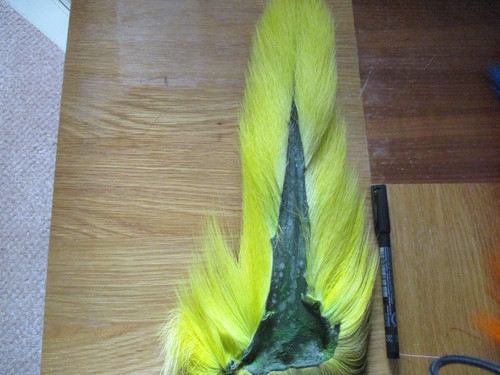 Buck tail whole - buck,