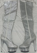 SALES Shiny Silver Glitter