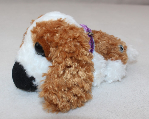 Cavalier king charles spaniel - charles,