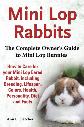 Mini lop rabbits the - lop, complete