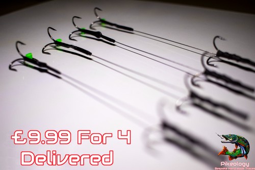Zander perch predator rig - /,