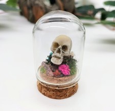 Miniature Skull In A Dome  -