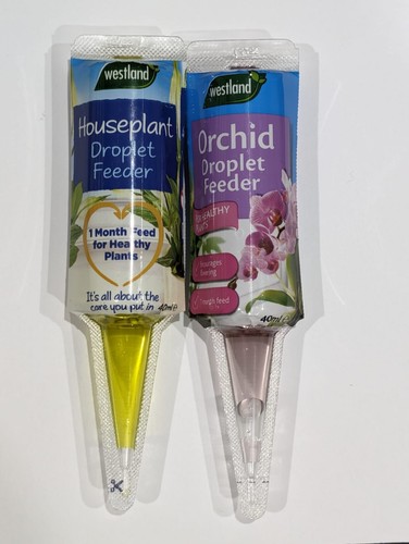 Westland house plant and - westland,