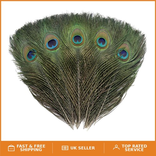 Elegant pcs natural peacock - elegant, 16