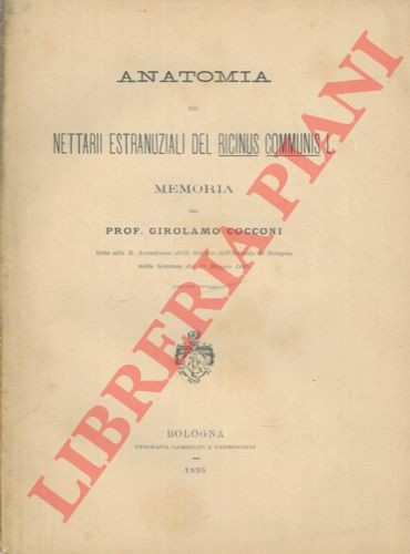 Cocconi jerome anatomy - cocconi, of