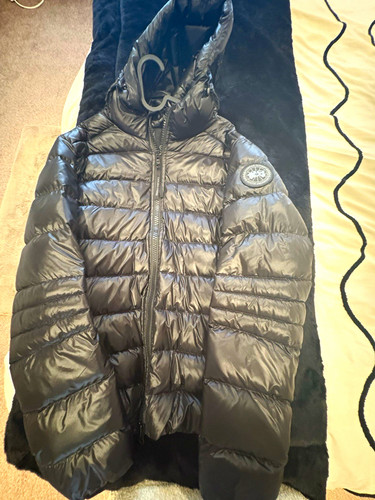 Canada goose hybridge - hybridge, lite