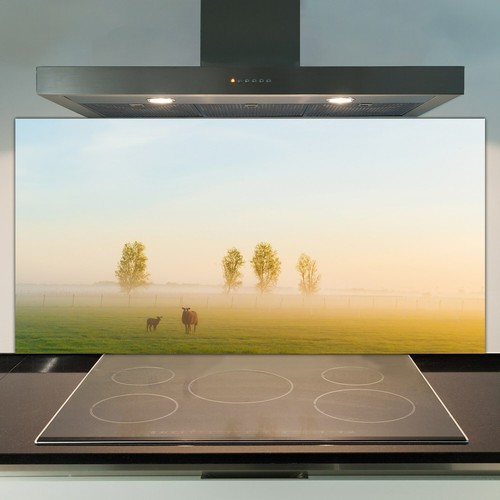 Glass kitchen splashback - kitchen, tile