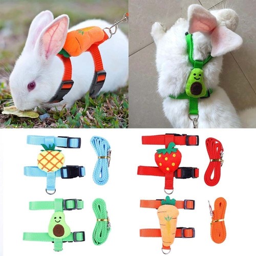 Rabbit harness and - rabbit, lead