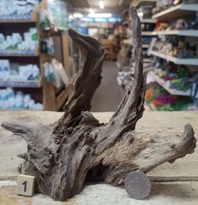 Small/Medium Corbo Root