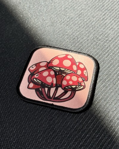 Red toadstool mushroom - toadstool,