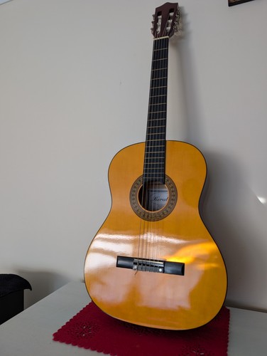 Herald hl44 string acoustic - hl44,