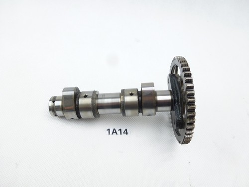 Camshaft cylinder head - camshaft,