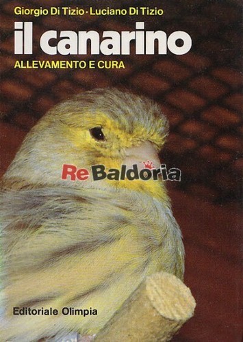 Canarino editoriale olimpia - il,