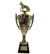 Personalised Large Dog Agility