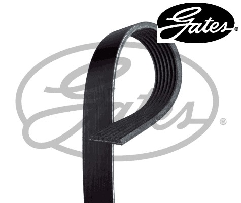 Ribbed belt fits vauxhall - v-ribbed,