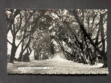 Ilex Grove, Ferring by Sea Sussex Real Photo Vintage Postcard B40