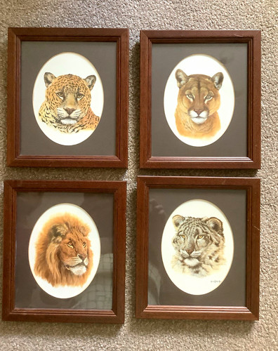 Set framed big cat - of,