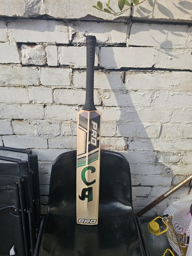 English willow cricket - english,