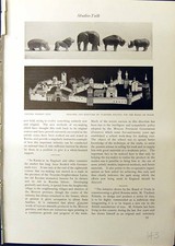 Old Antique Print 1914 Painted Wooden Toys Vladimir Polunin Board Trade 20th