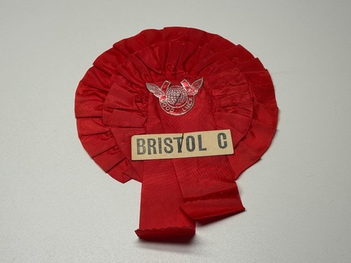 Bristol city football club - city,