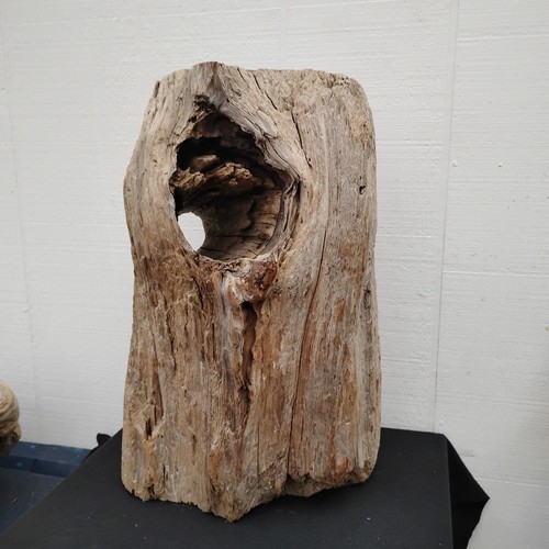 Driftwood stump base with - driftwood,
