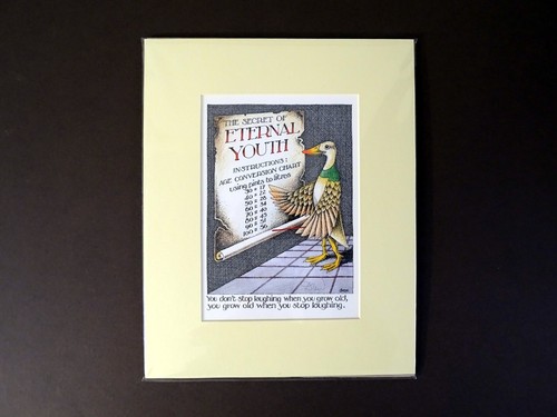 Simon drew signed - simon,