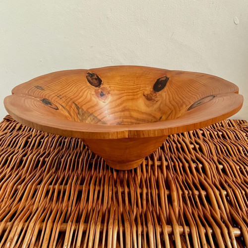Large monkey puzzle wooden - large,