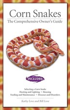 Corn Snakes: The Comprehensive
